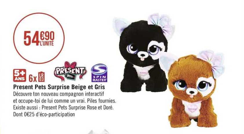 présent pets surprise beige et gris
