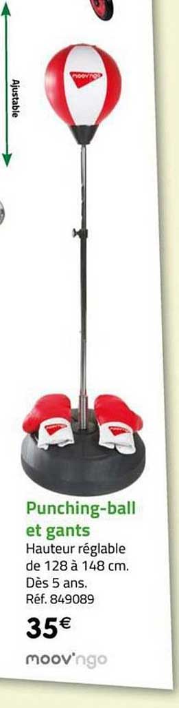 punching ball et gants moov'ngo