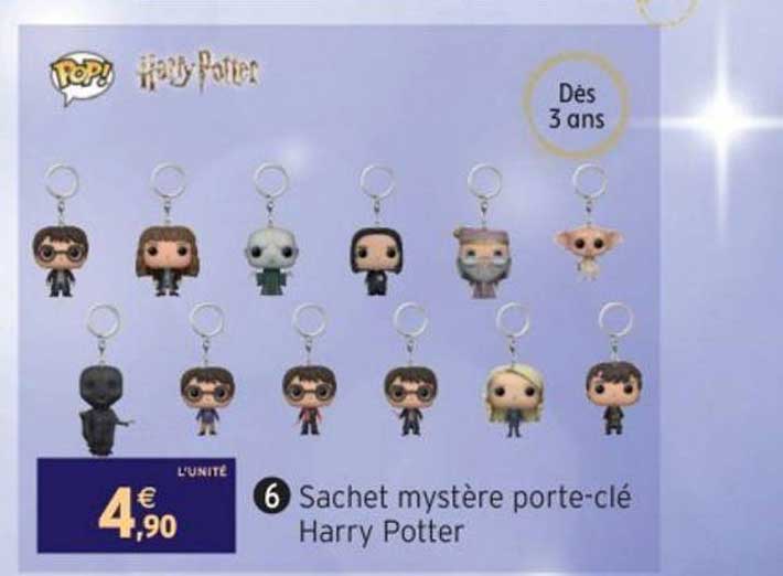 sachet mystère porte clé harry potter