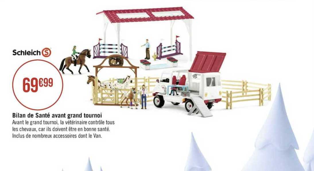schleich bilan de santé avant grand tournoi