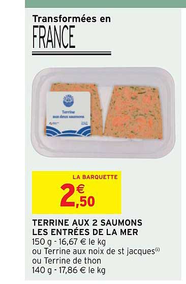 terrine aux 2 saumons les entrées de la mer