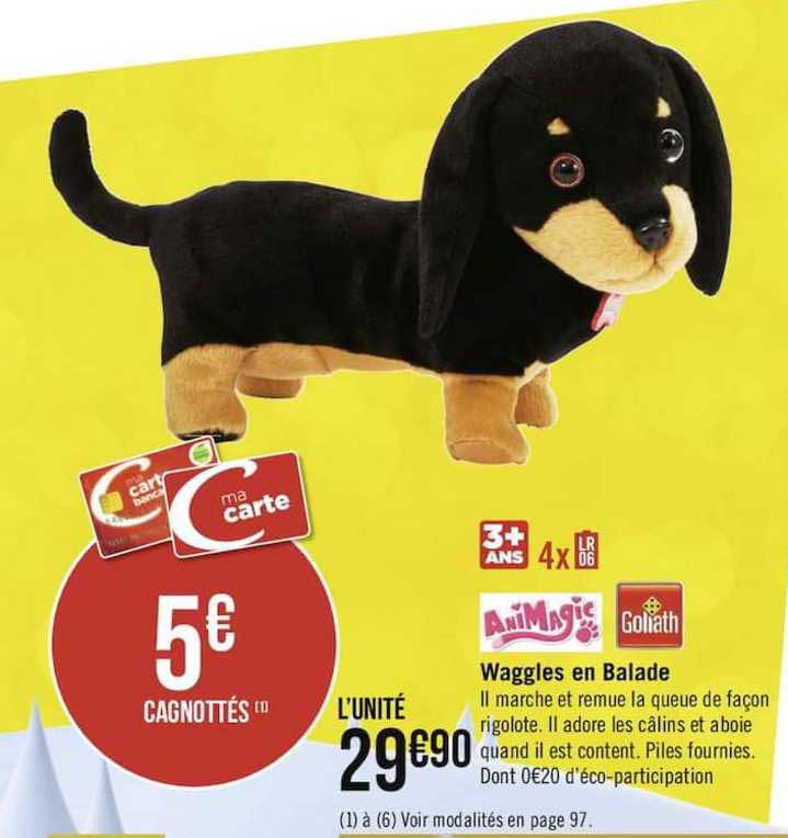 waggles en balade goliath