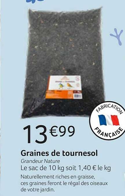 Graines De Tournesol