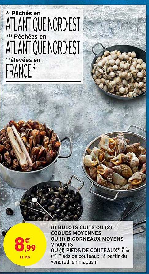 Bulots Cuits Ou Coques Moyennes Ou Bigorneaux Moyens Vivants Ou Pieds De Couteaux