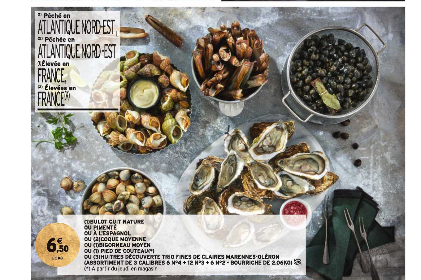 bulot cuit nature ou pimenté ou à l'espagnol ou coques moyenne ou bigorneau moyen ou pied de couteau ou huîtres découvertes trio fines de claires marennes oléron