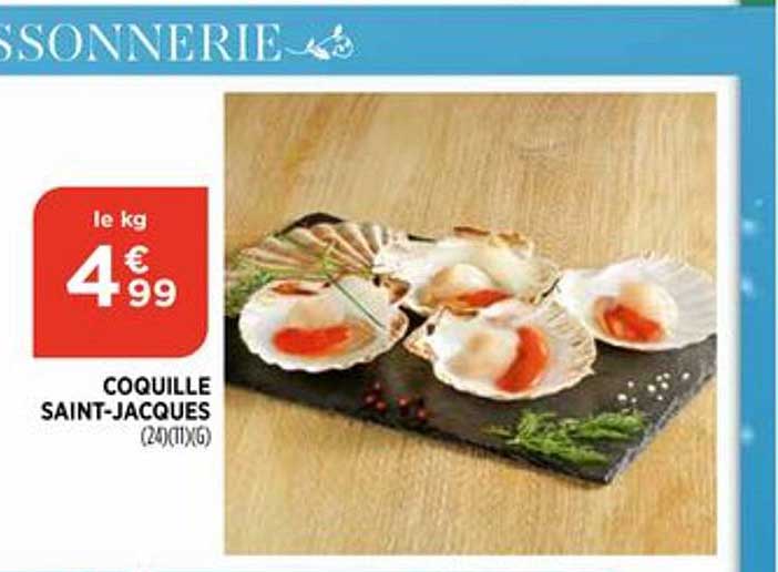 coquille saint jacques