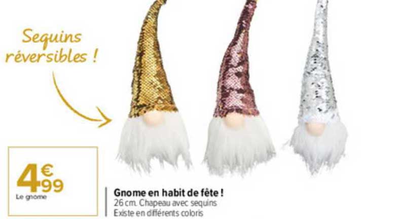 Gnome En Habit De Fête!