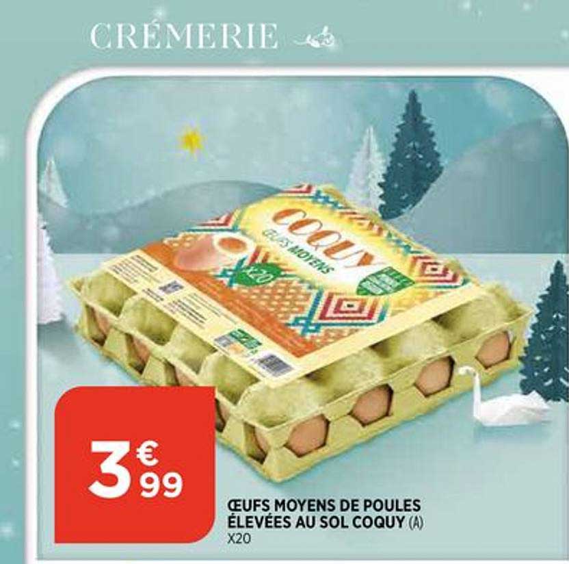 œufs moyens de poules élevées au sol coquy