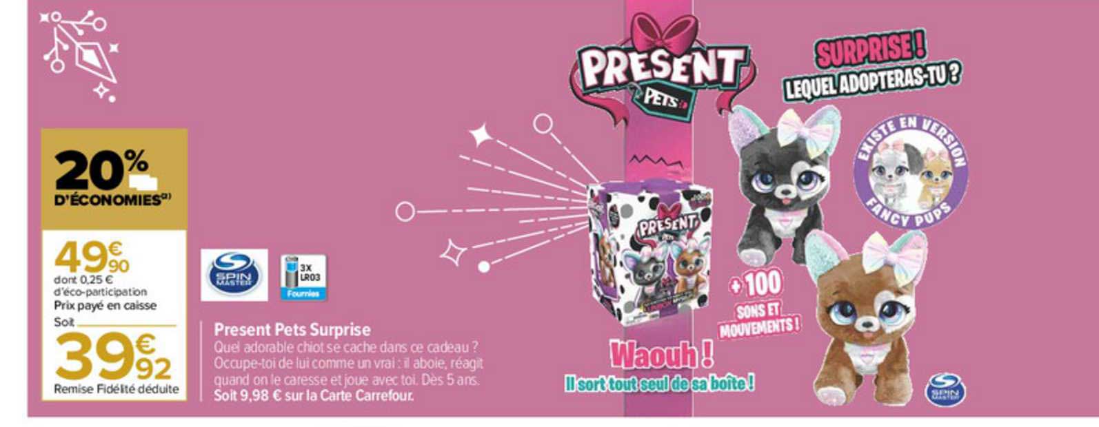 présent pets surprise