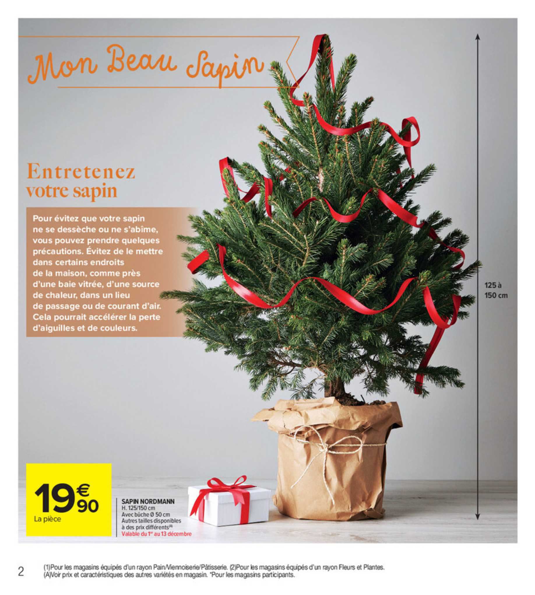 sapin nordmann