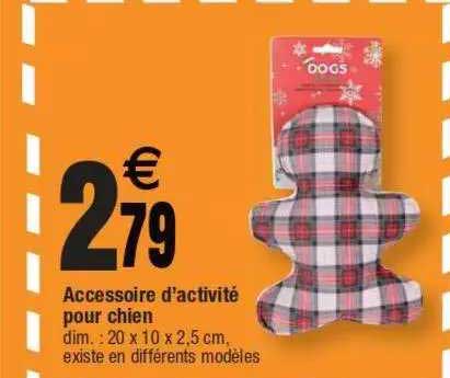 accessoire d'activité pour chien