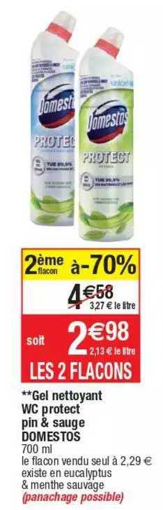gel nettoyant wc protect pin & sauge domesto
