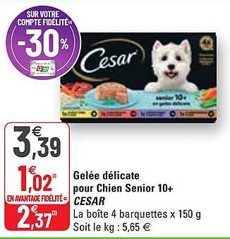 gelée délicate pour chien senior 10+ cesar