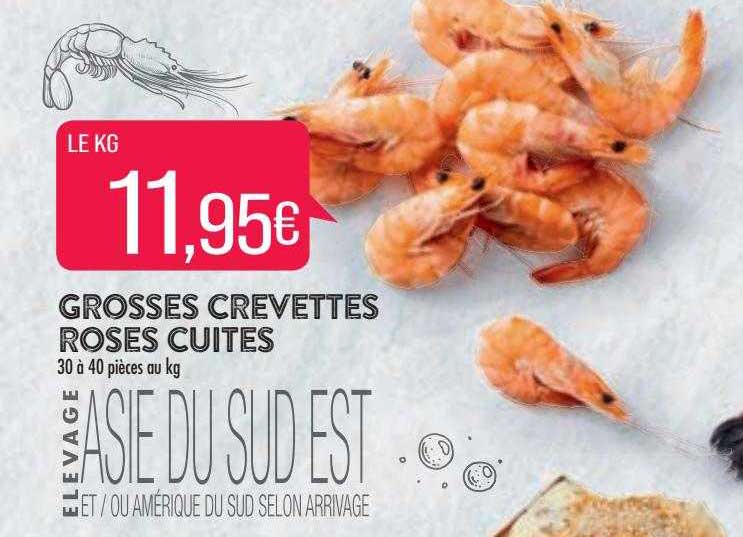 grosses crevettes roses cuites