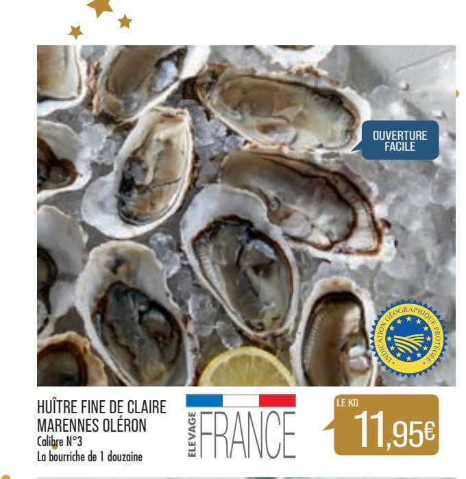 huître fine de claire marennes oléron