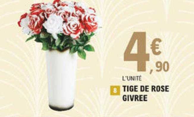 tige de rose givrée