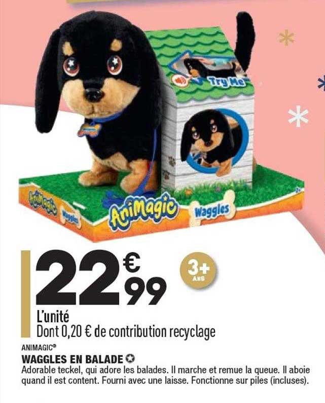 waggles en balade animagic