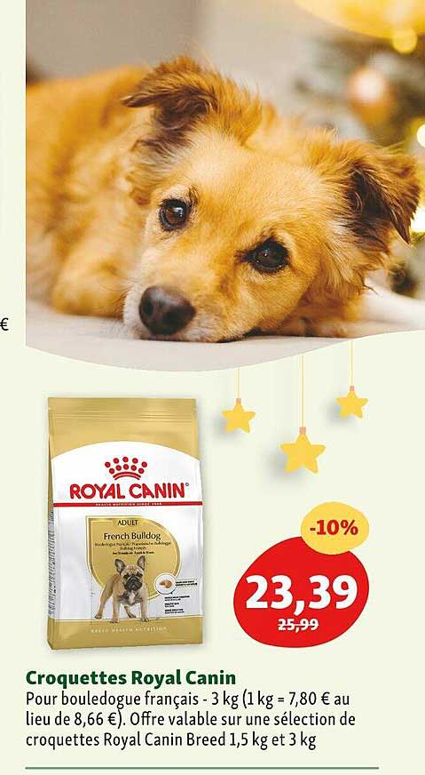 croquettes royal canin