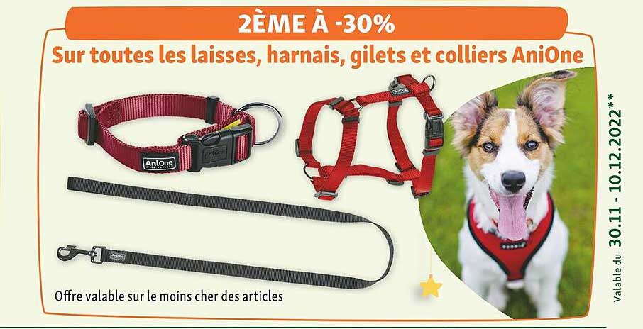 les laisses, harnais, gilets et colliers anione