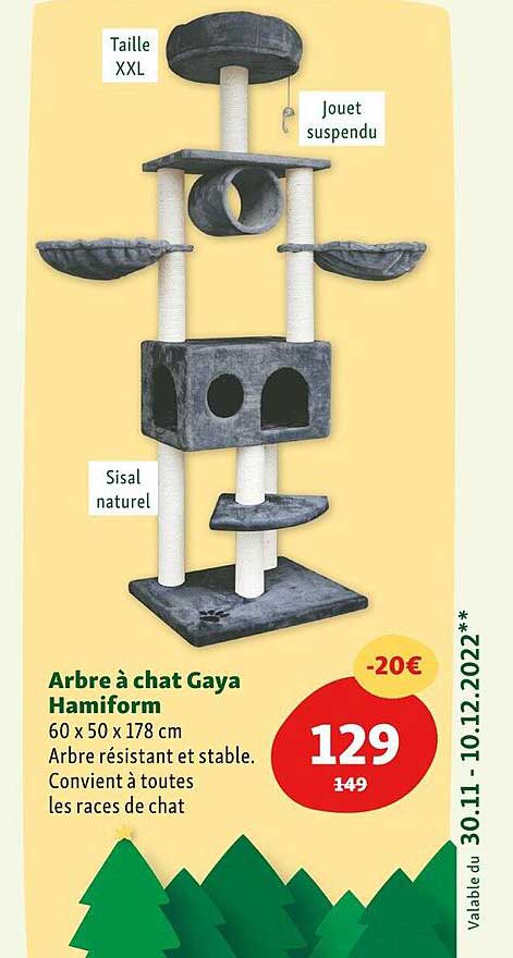arbre à chat gaya hamiform