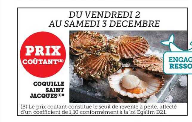 Coquille Saint Jacques