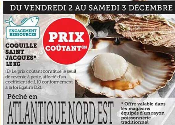 coquille saint jacques