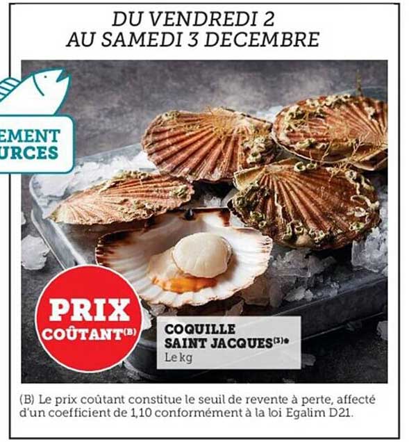 Coquille Saint Jacques
