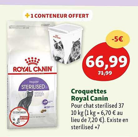 croquettes royal canin