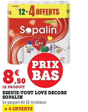 essuie-tout love décore sopalin