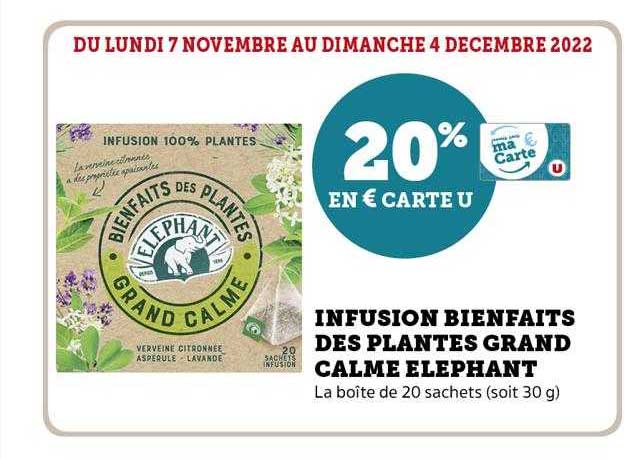 infusion bienfaits des plantes grand calme éléphant