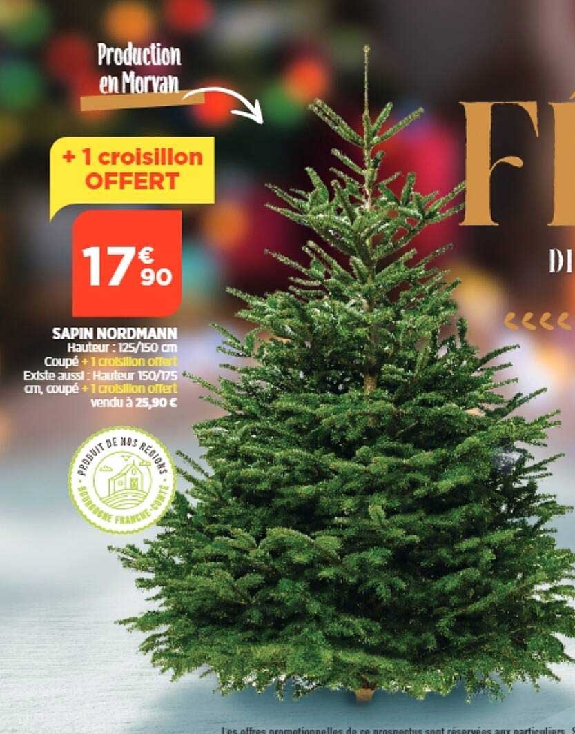 sapin nordmann