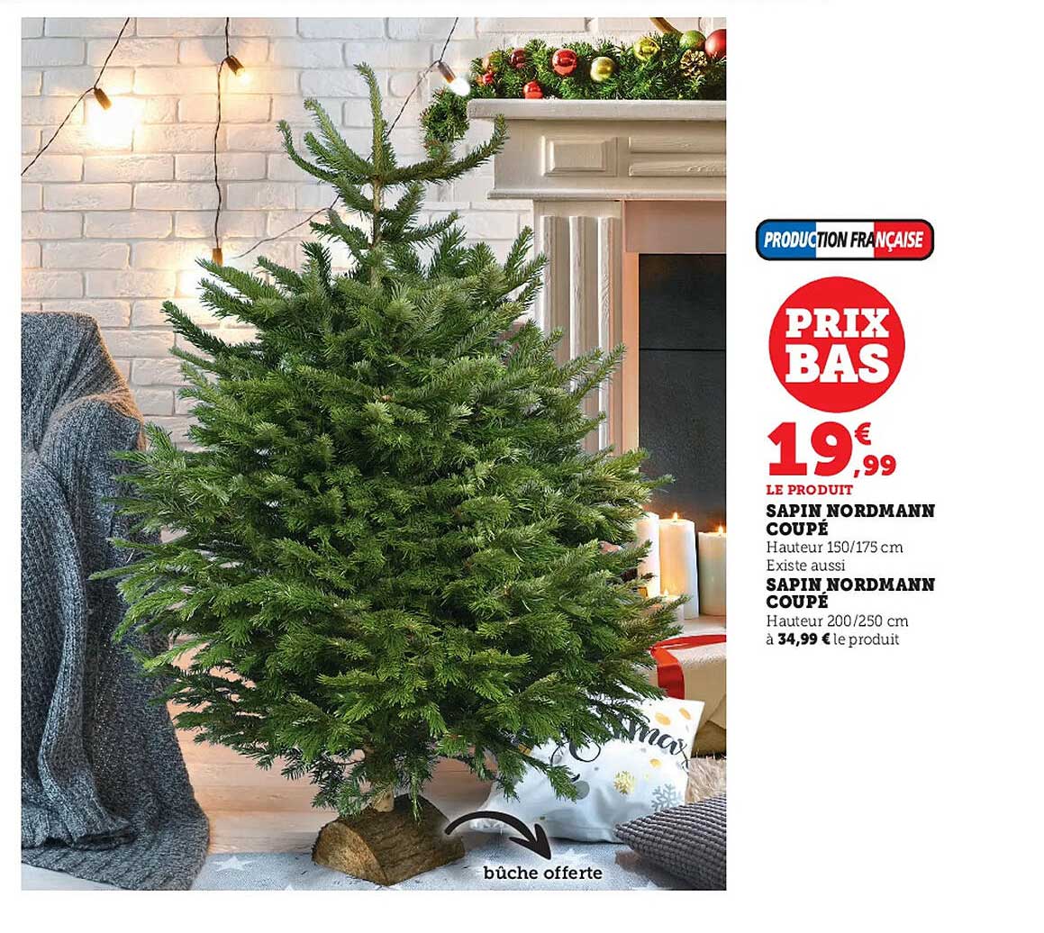 sapin nordmann coupé