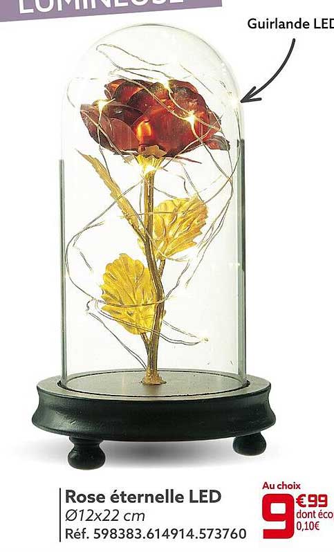 rose éternelle led