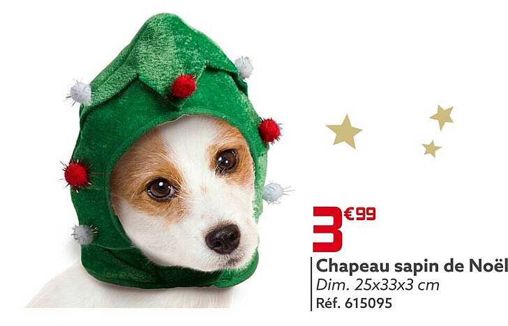 Chapeau Sapin De Noël