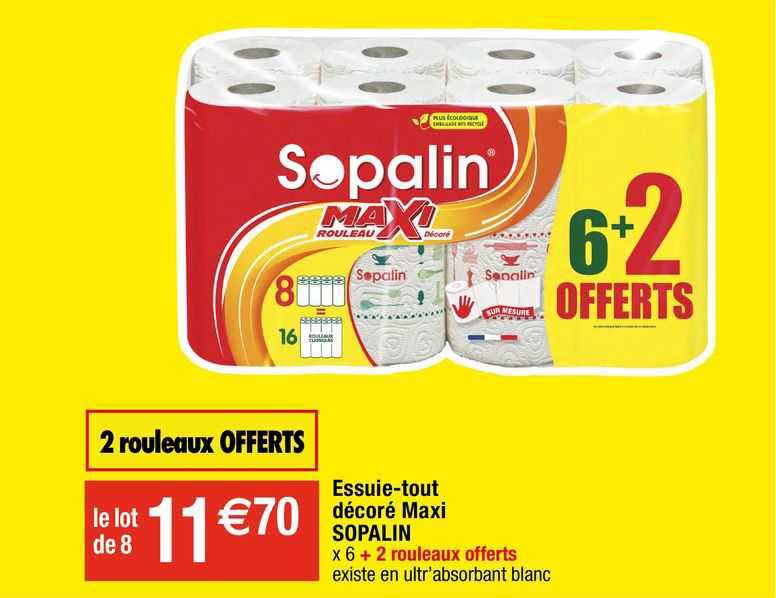 essuie-tout décoré maxi sopalin