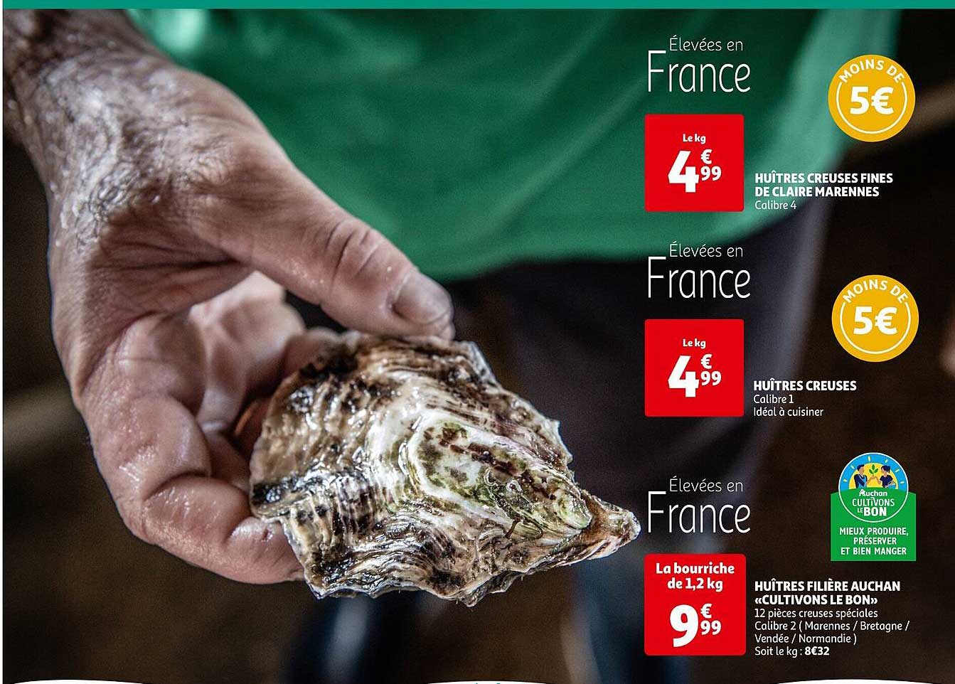 huîtres creusés fines de claire marennes, huîtres creusés, huîtres filière auchan «cultivons le bon»