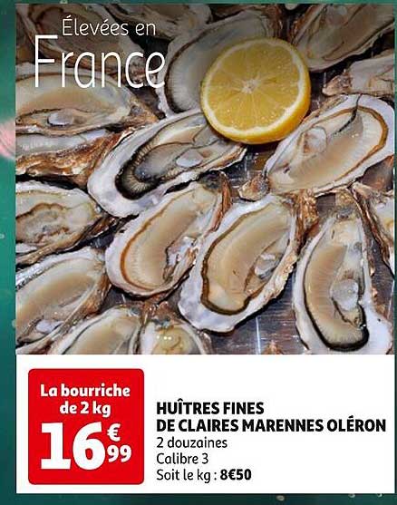 huîtres fines de claires marennes oléron