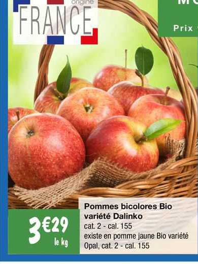 Pommes Bicolores Bio Variété Dalinko
