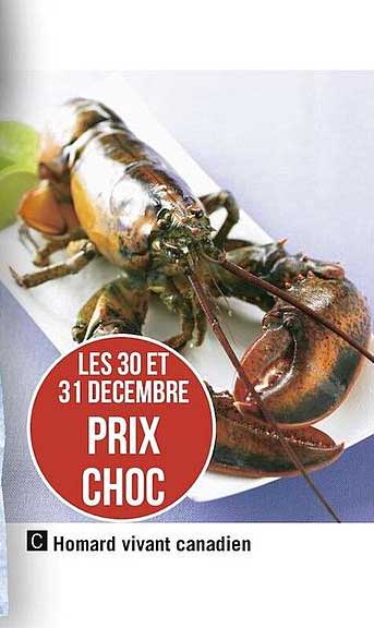 Homard Vivant Canadien