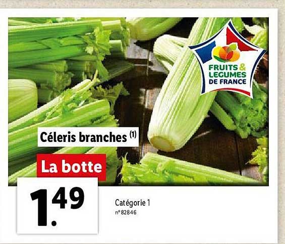 céleris branches