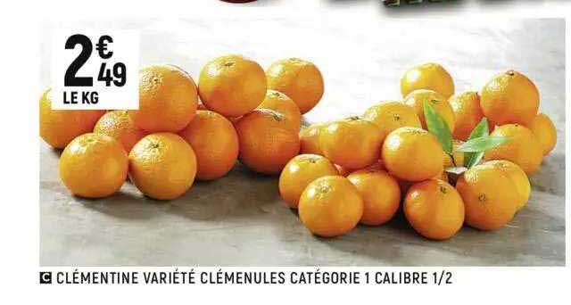 clémentine variété clémenules