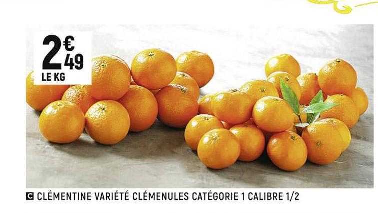 clémentine variété clémenules