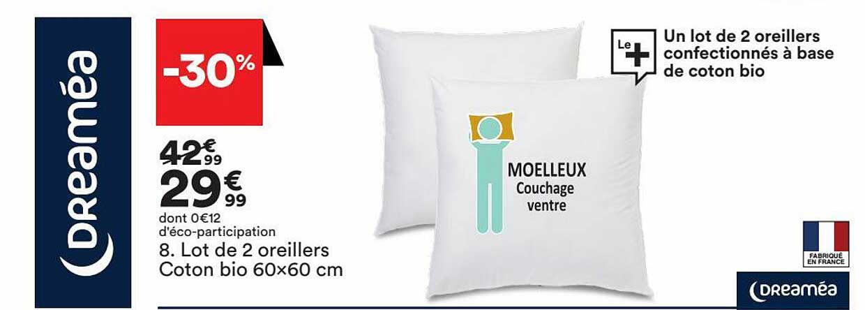 lot de 2 oreillers coton bio 60x60 cm dreaméa