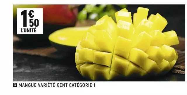 Mangue Kent