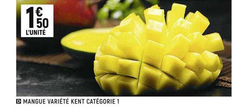 mangue variété kent