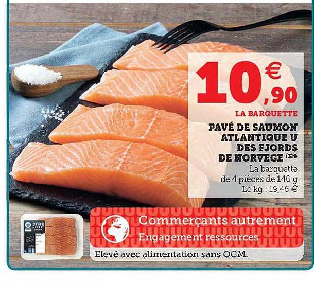 Pavé De Saumon Atlantique U Des Fjords De Norvège