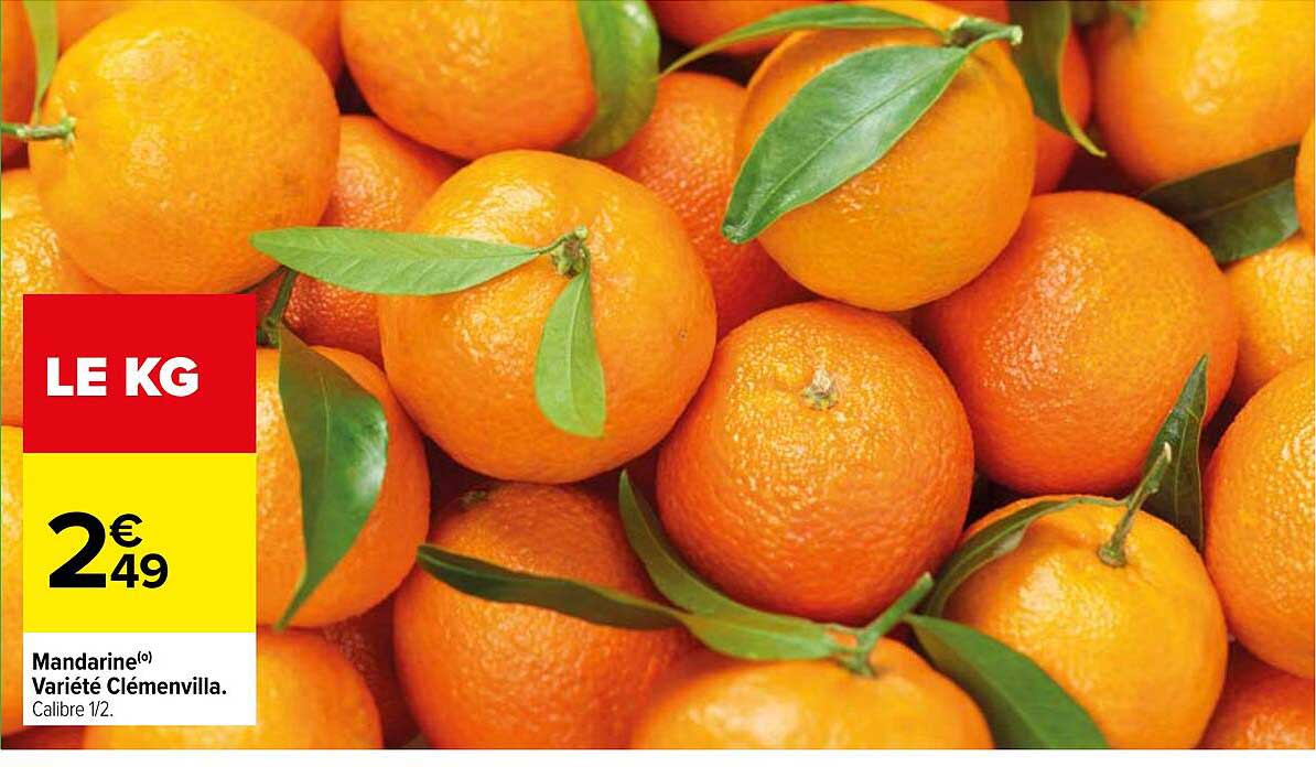 mandarine variété clémenvilla