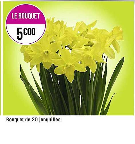 Bouquet De 20 Jonquilles