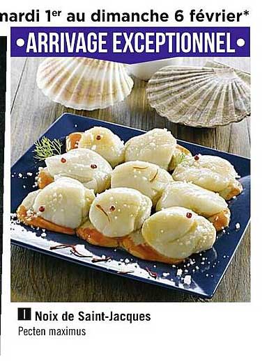 noix de saint-jacques