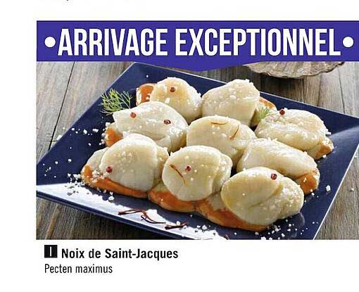 noix de saint-jacques